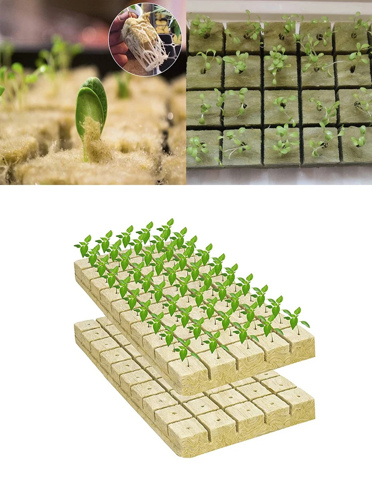 50pcs Grow Cubes Starter Sheets for Cuttings/Cloning/Plant Propagation Seed Starting Hydroponic Grow Media Growing Medium