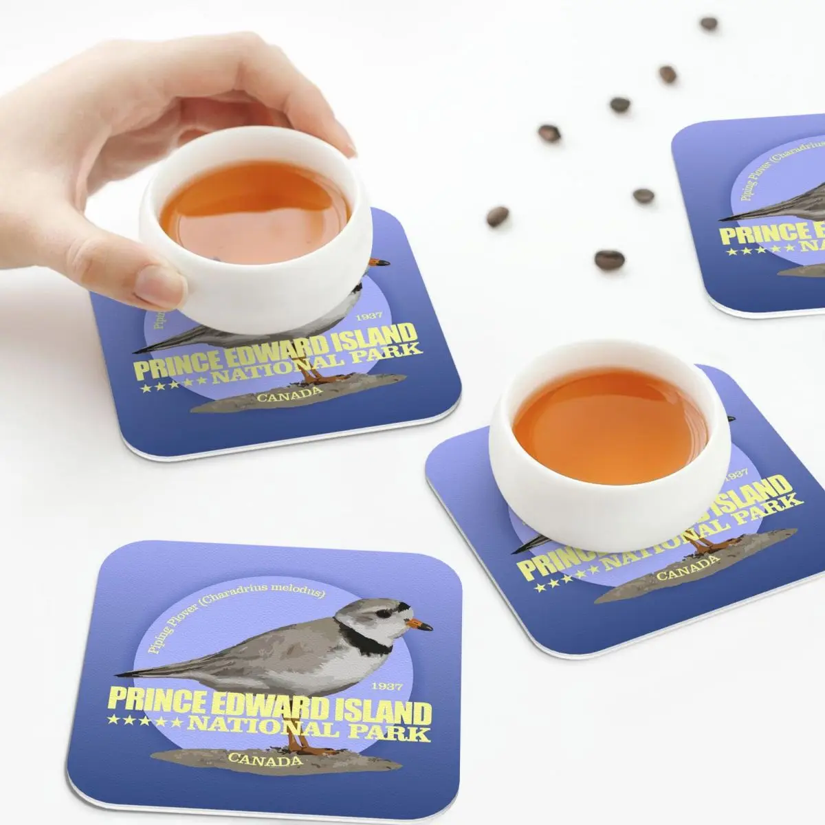 

Prince Edward Island National Park Coasters Leather Placemats Non-slip Insulation Coffee Mats Home Kitchen Dining Pads Set of 4