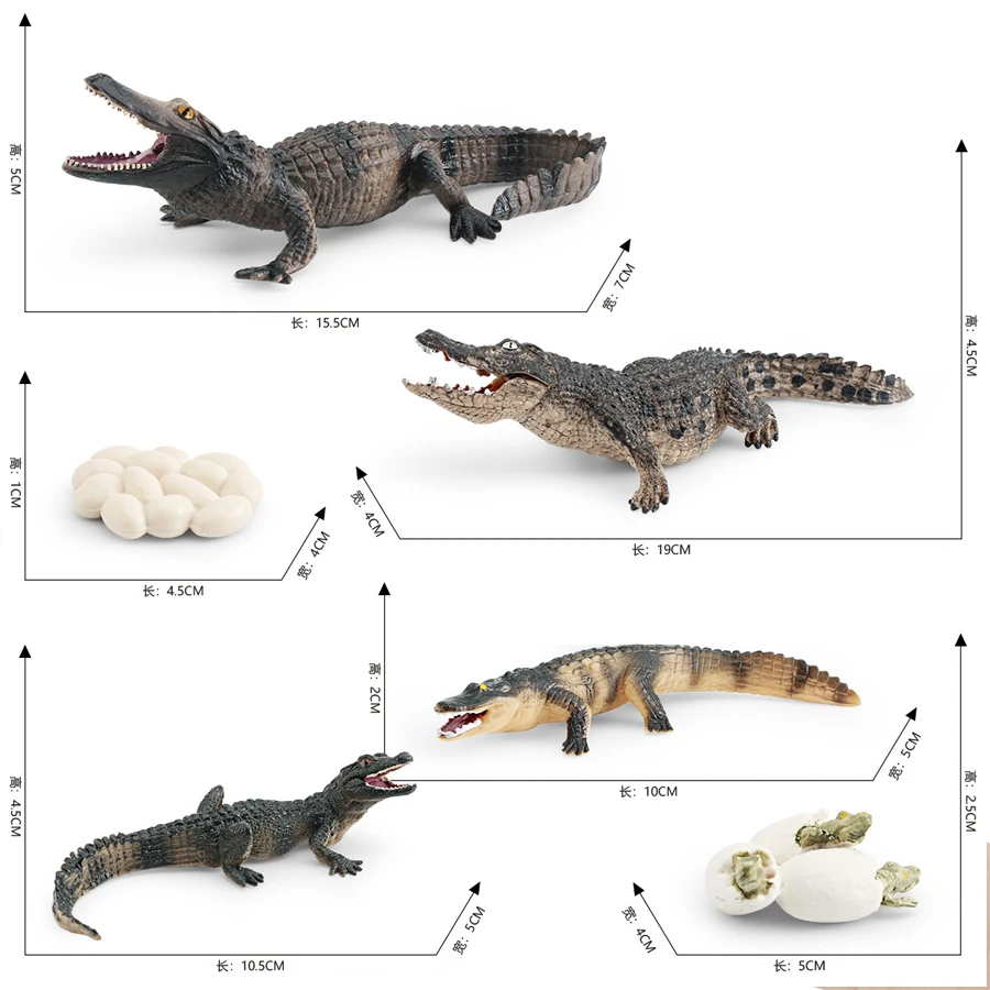 Realistyczne figurki modelujące cykl życia gadów, zabawki, wąż, jaszczurka, kameleon, żółw, figurka cyklu życia, zabawka edukacyjna, upominki na przyjęcia