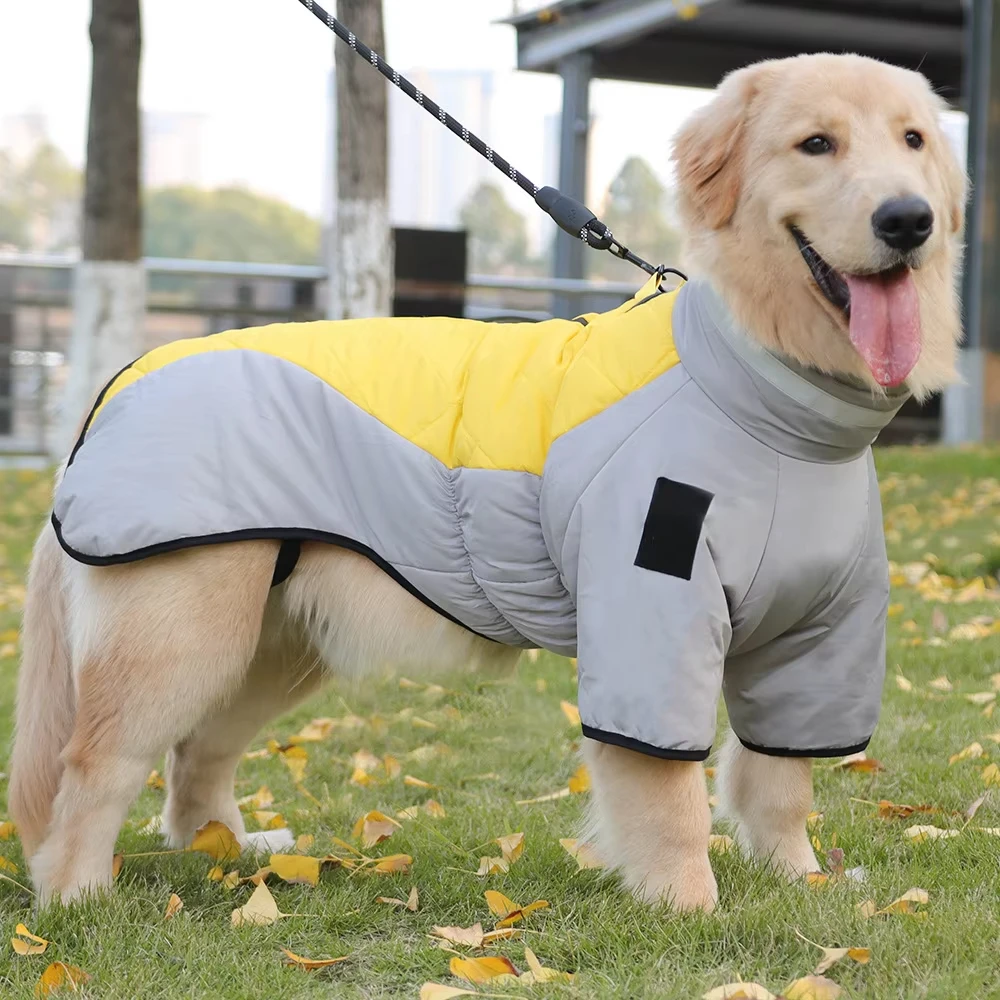 Golden Labrador Retriever waterproof dog jumpsuit, medium big dog, Big dog winter warm cotton blend coat