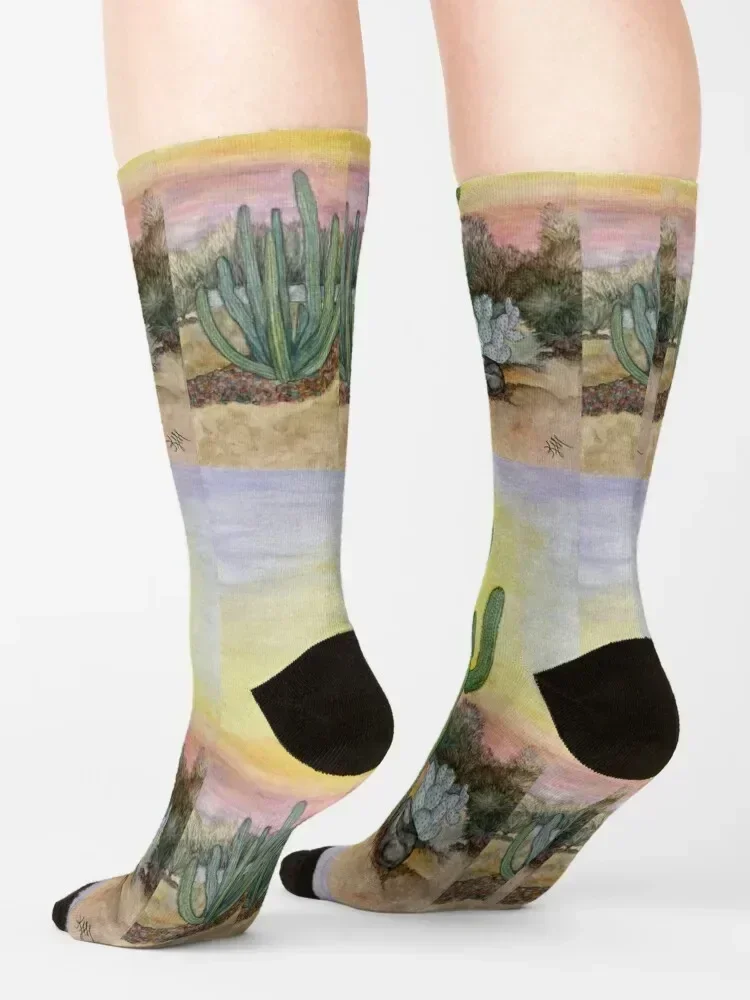 Saguaro Meias aquarela originais meias de luxo de halloween para homens e mulheres