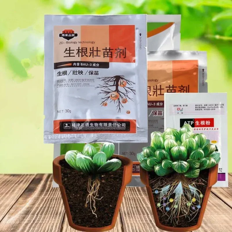 Hormonas de plantas de citokinina, mejoran el vegetales, flores, árboles frutales, mejor producto, crecimiento, retardante de hojas, accesorios de jardinería