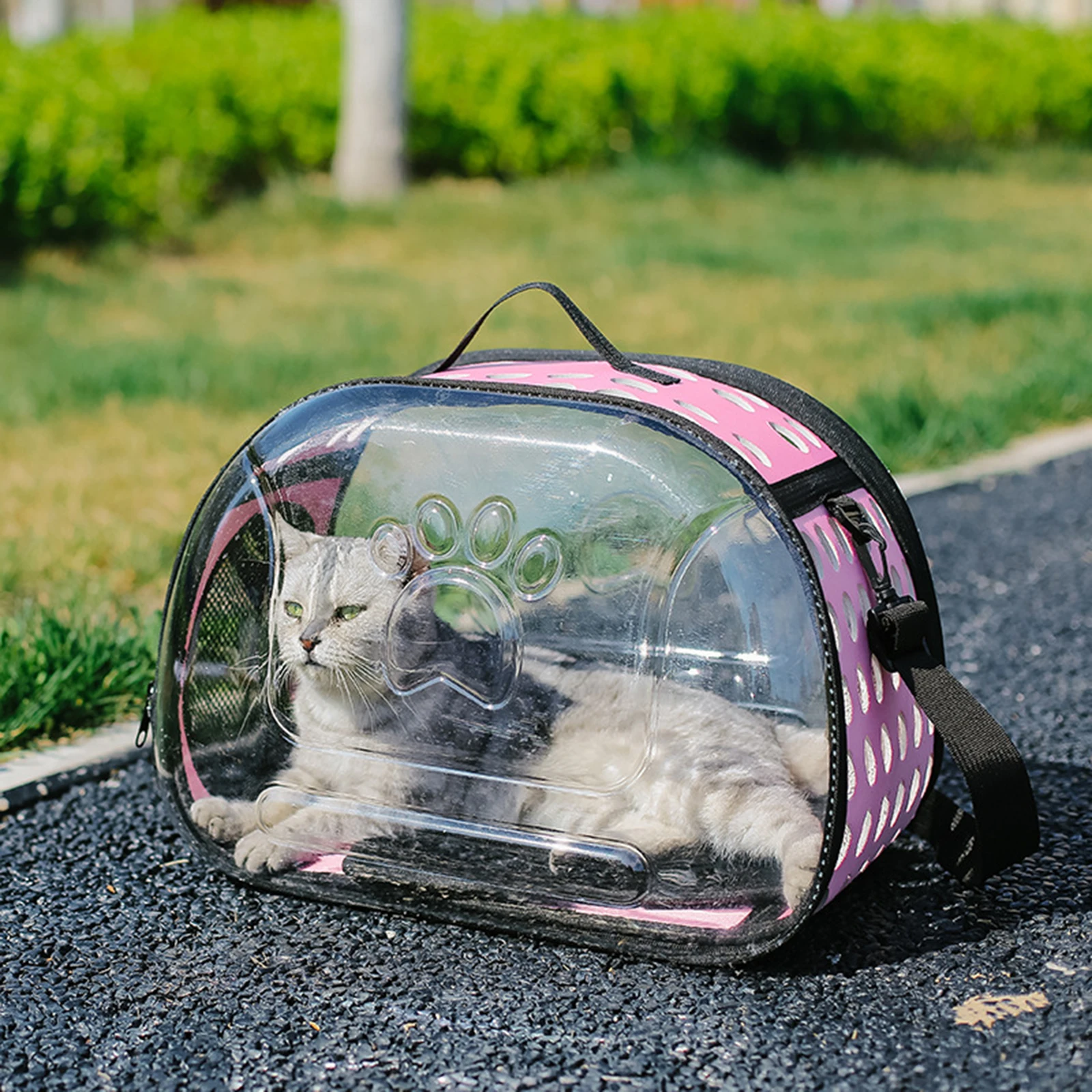 Transparente Dobrável Pet Carrier Bag, Crossbody, respirável, dobrável, viagens, ao ar livre, cão, gato