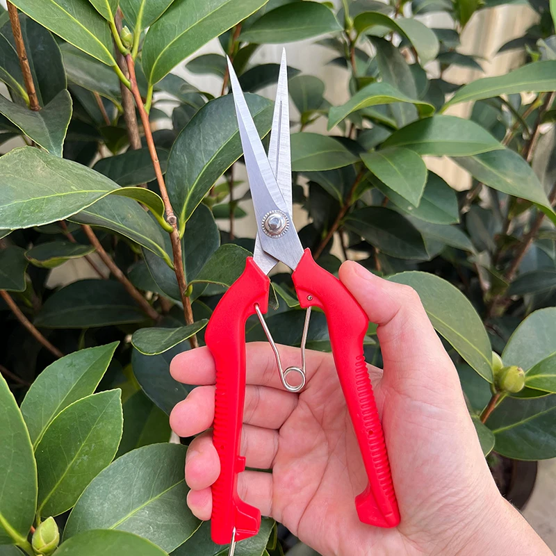 Pruning Shear Branch Scissors Stainless Steel Non-Slip Handle Sharp Garden Fruit Tree Pruning Very Sharp Garden Tools