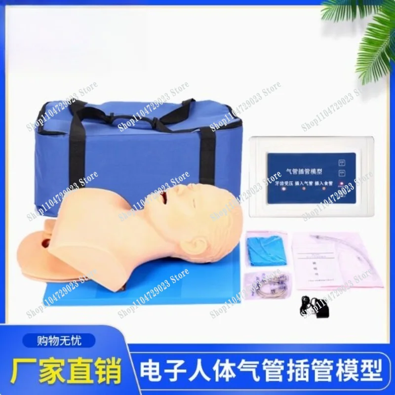 Hot-selling new electronic human tracheal intubation model in 2026 Nasopharyngeal airway nursing training model teaching tool