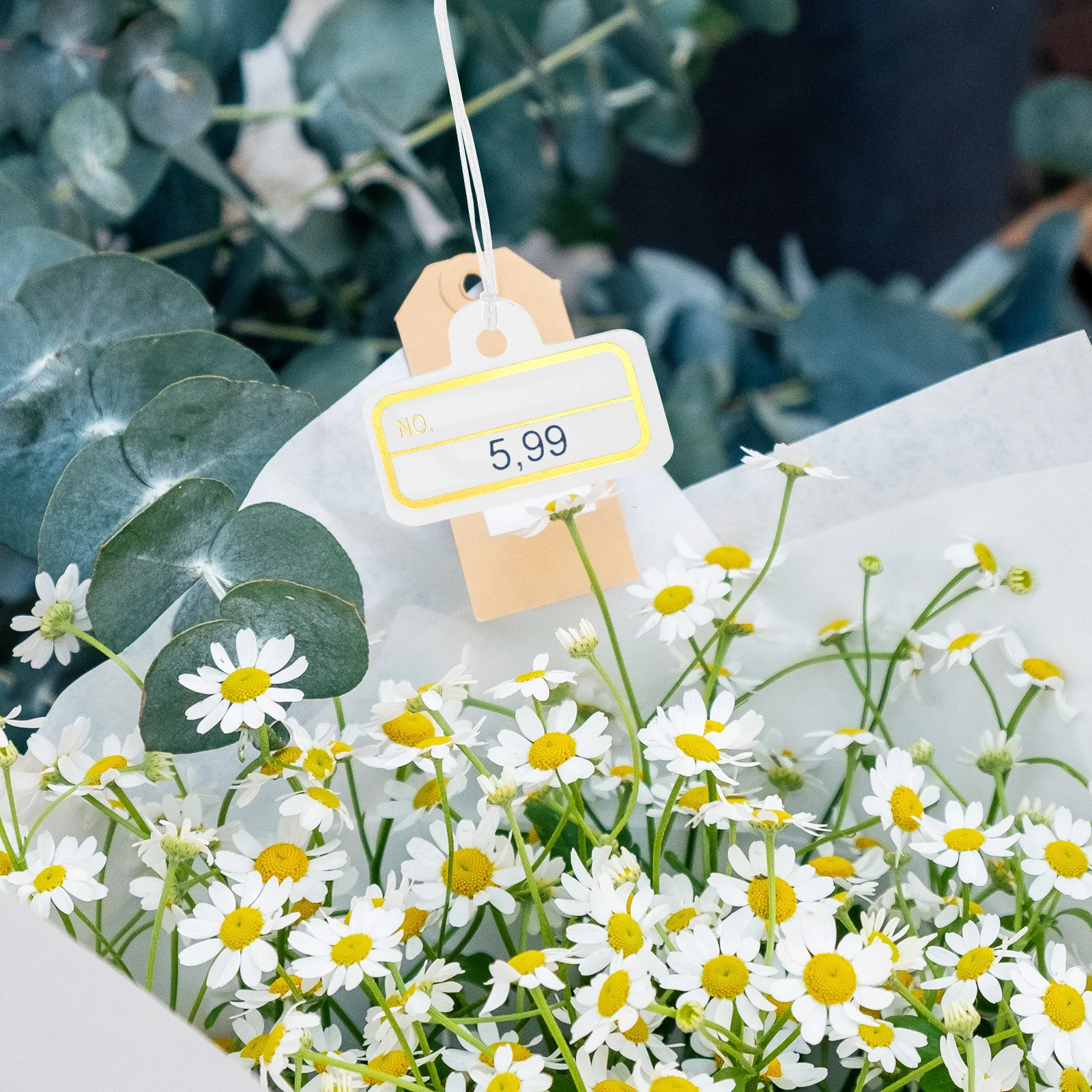 

100Pcs Hanging Price Tags Smooth Writing Surface Jewelry Clothing Stationery Arts and Crafts Durable Easy to Use