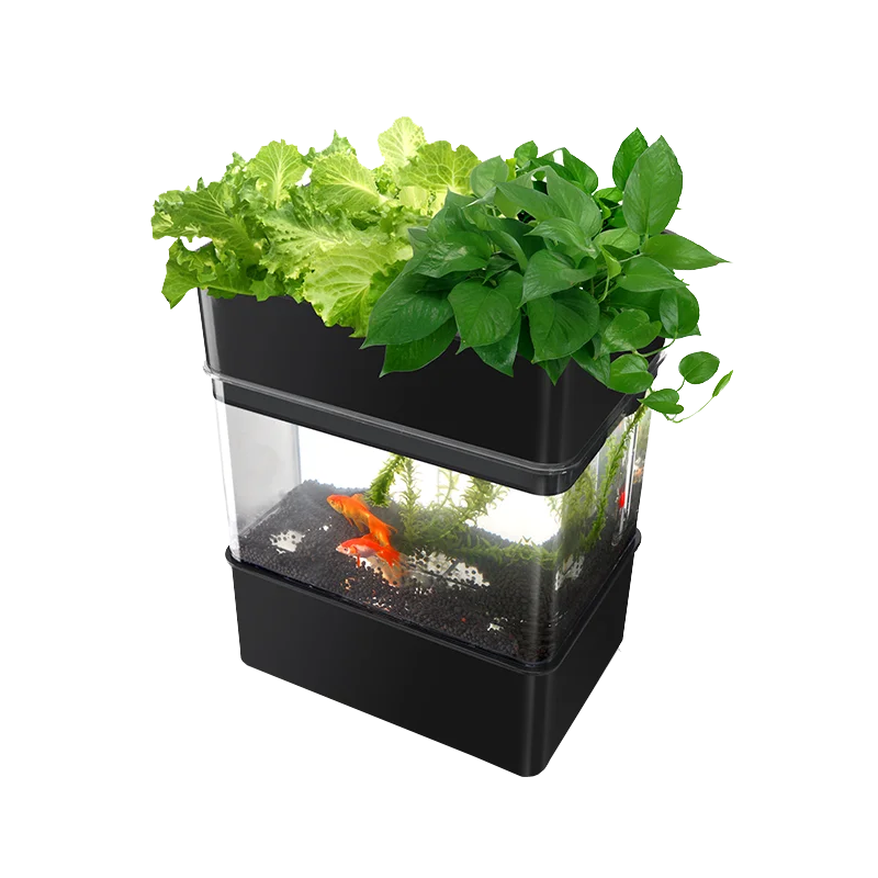 Complete Hydroponic Indoor Aquaponics Growing Systems Indoor Small Aquaponics Growing Systems