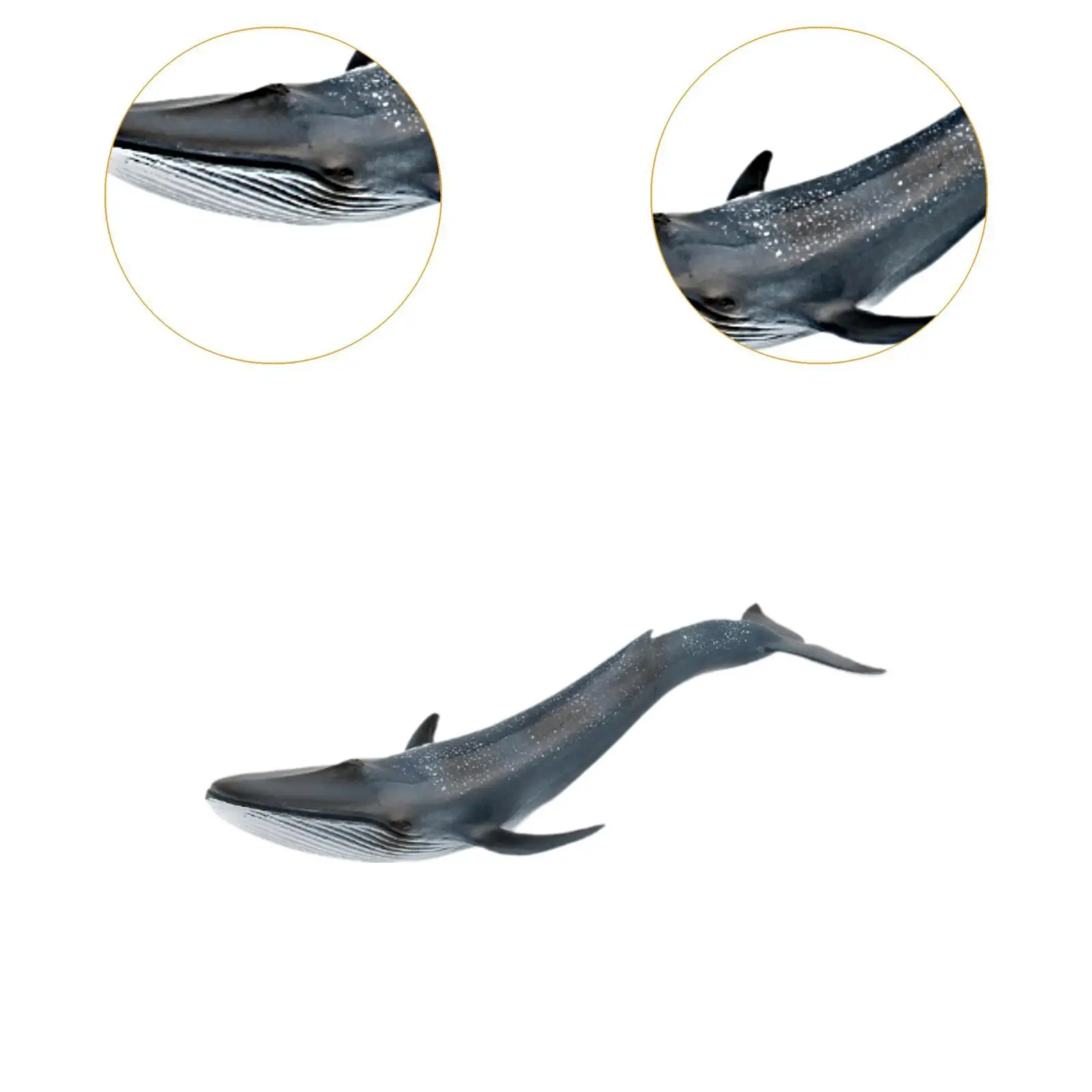 Simulation Whales Model Figures Simulated Marine Animal Model Eduactional Toy