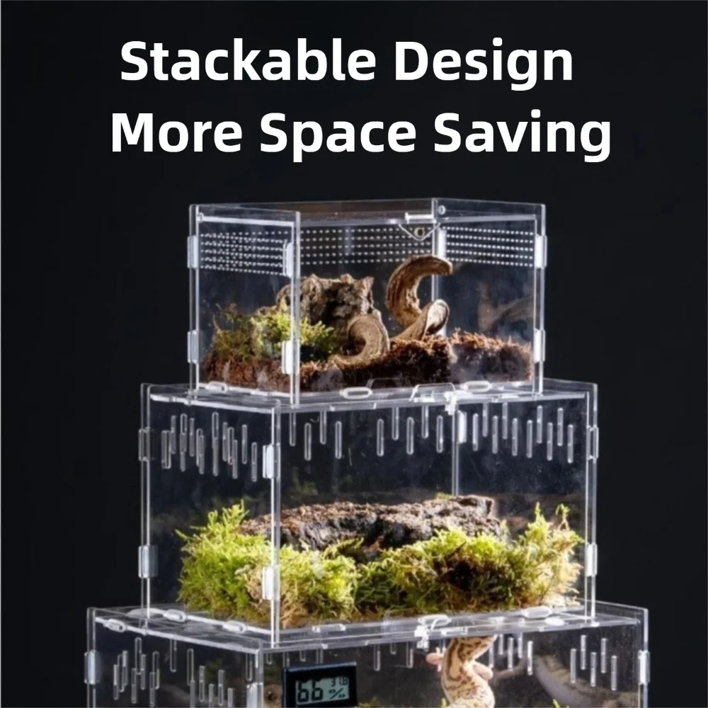 New Acrylic Reptile Habitat Anti-Escape Multiple Size Spider Feeding Case Clear Arboreal Small Pet Cage for Chameleon