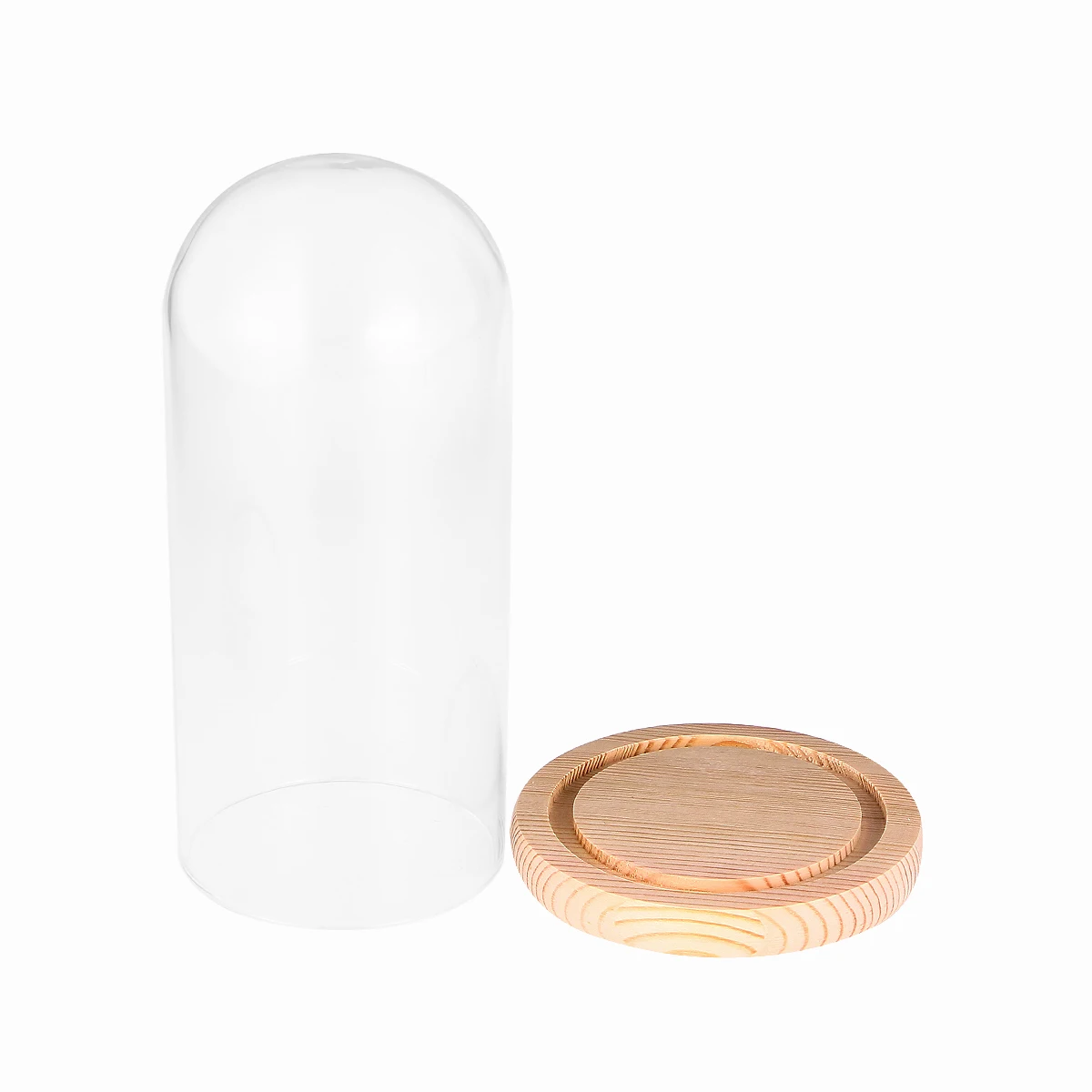 

Glass Dome Cover 9X24cm Flower Storage Container Wooden Base Transparent Design Long Term DIY Craft Gift Decor