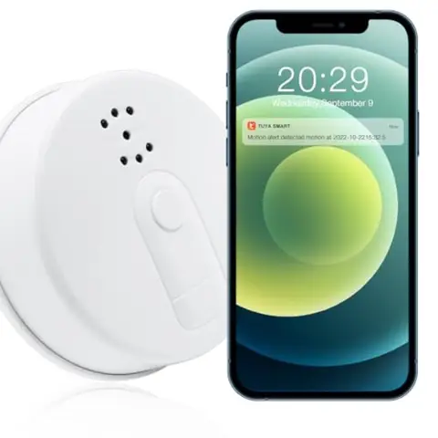 Home security nanny cam in smoke detector design, ABS plastic, white, 1080P WiFi hidden spy camera with motion detection and ni
