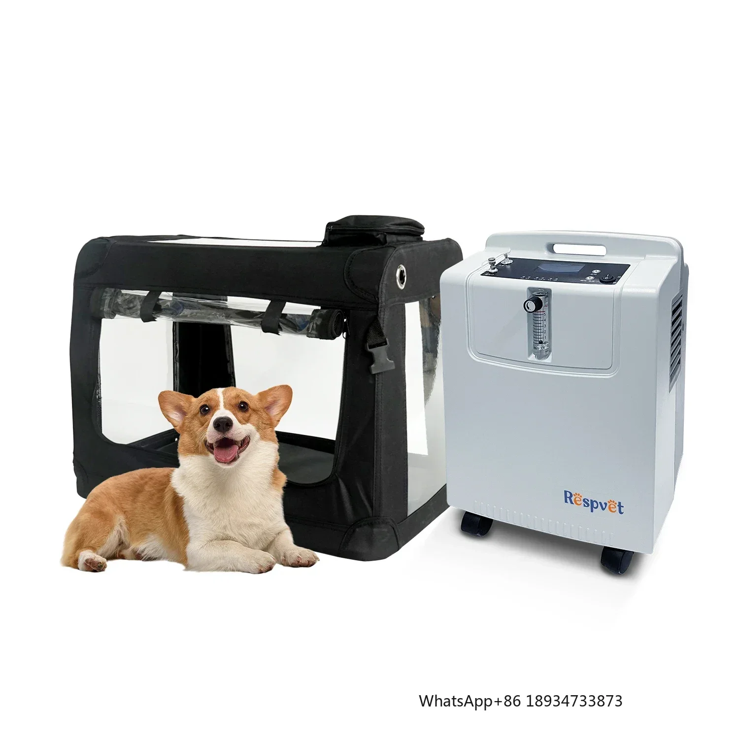 Low-Noise Energy-Saving 5L Pet oxygen- Machine Continuous 24-Hour oxygen- Supply for Optimal Daily Pet Care