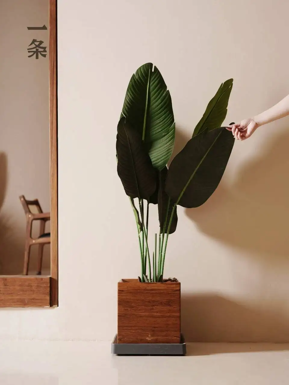 

A New Style Purple Clay [Flower Pot] Solid Wood Water-Retaining Flower Pot Vase For Home Living Room Large Diameter