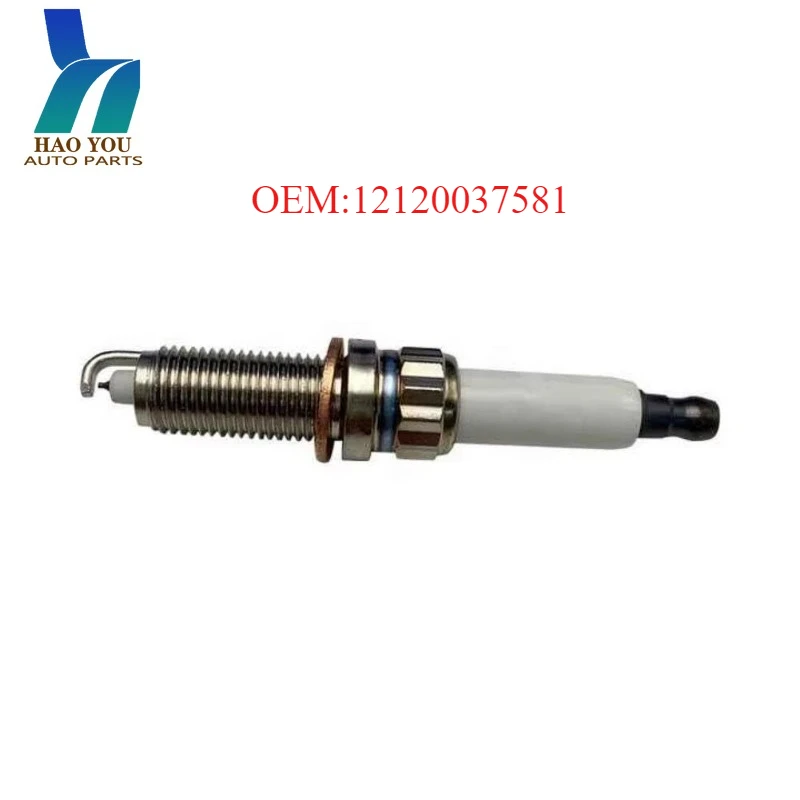 

12120037581 spark plug for BMW E70 E71 F01 X5 X6