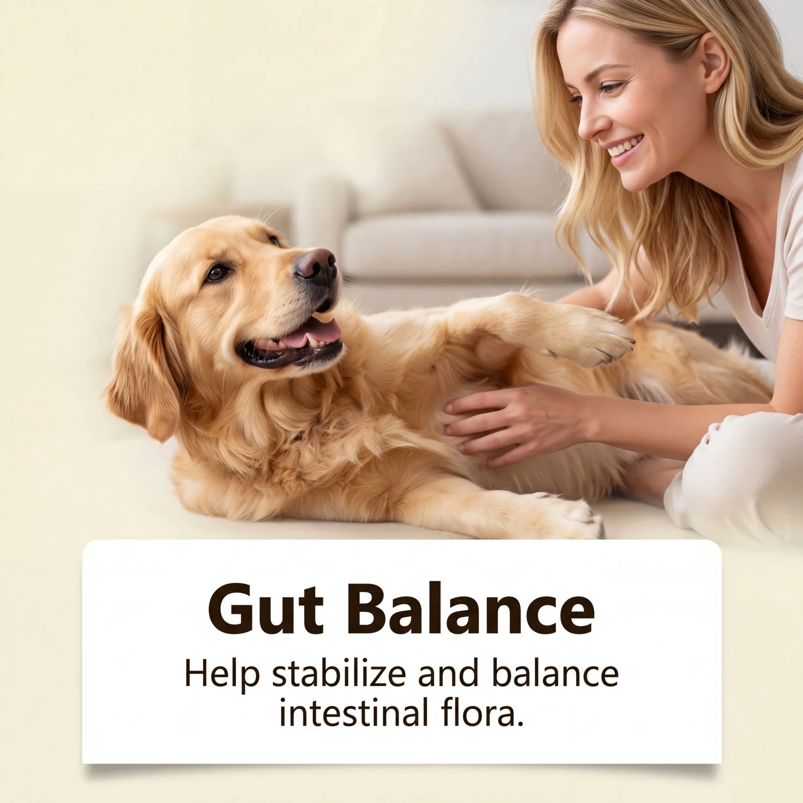 Joint Support Soft Chews Hip Care Supplement for Senior Dogs Mobility Health Relief Mild Formula Nutritional Dog Treats 5