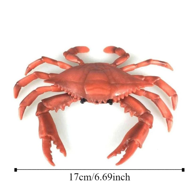 PVC Simulation Sea Life Animals Model Handmad Collectible Action Figures Toy Statue Ornament Crab Model Figurines