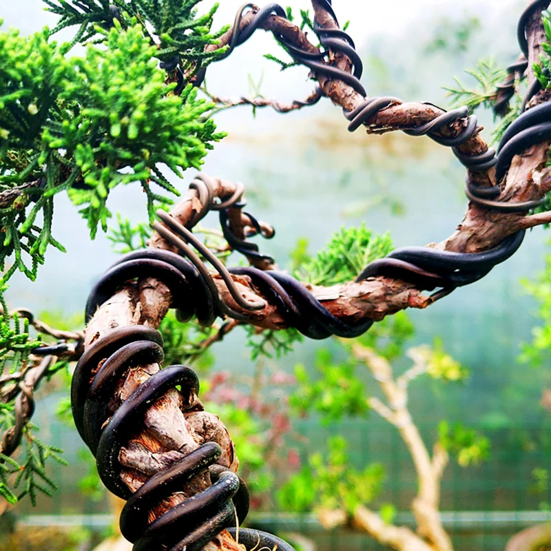 Colored Soft Aluminum Wire DIY Bonsai Modeling Wire Handmade Craft Wire For Students Labor Class Art Creation
