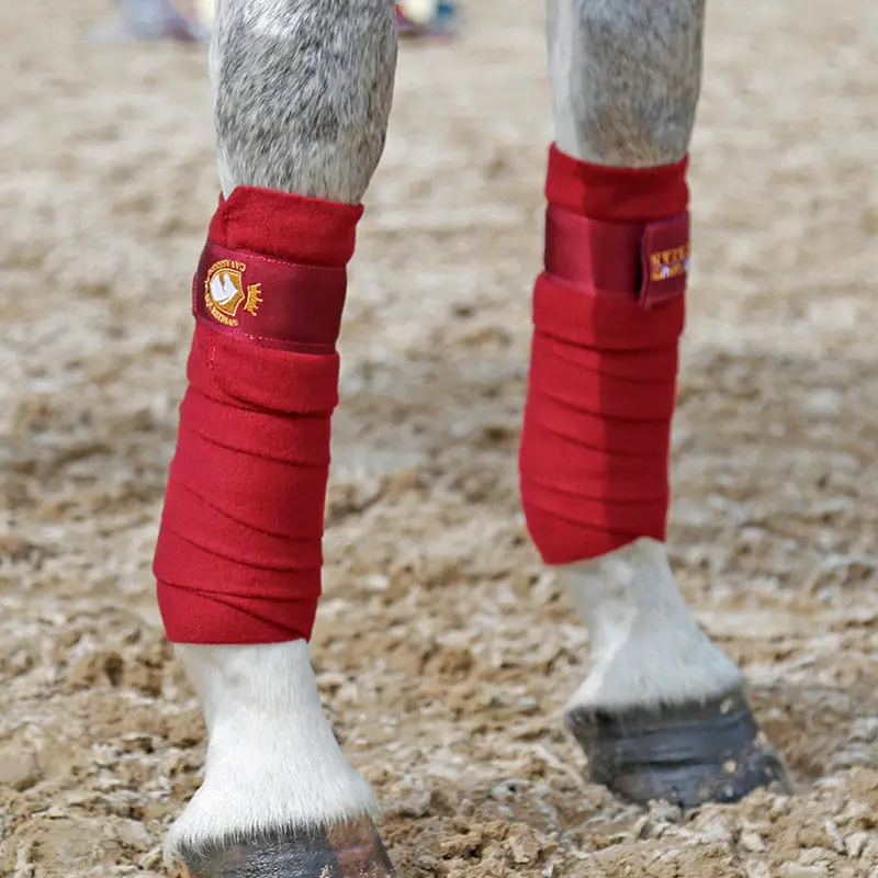 Embroidered horse leggings, knight rider horse gear