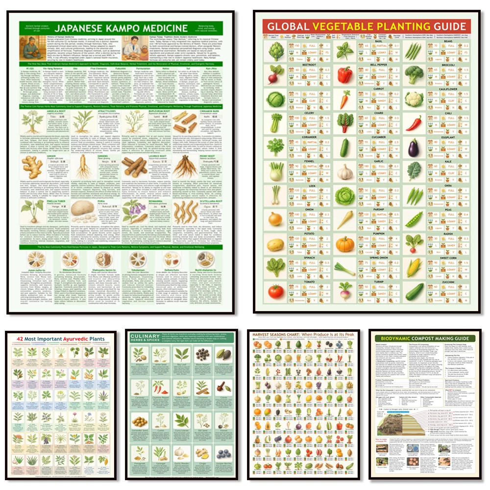 Ayurvedic healing plants, harvest season, planting guide, Japanese Kampo medicine illustrated herbal healing guide poster.