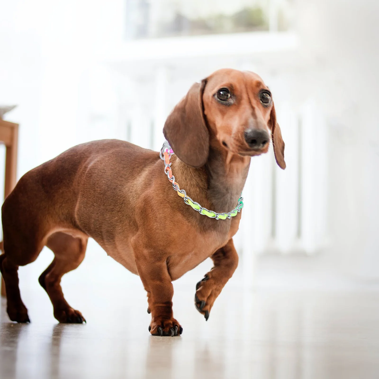 

1Pcs Rainbow Pet Chain Collar Creation Strong Enough Super Strength Dog Leash Dog Collar Pet Supplies