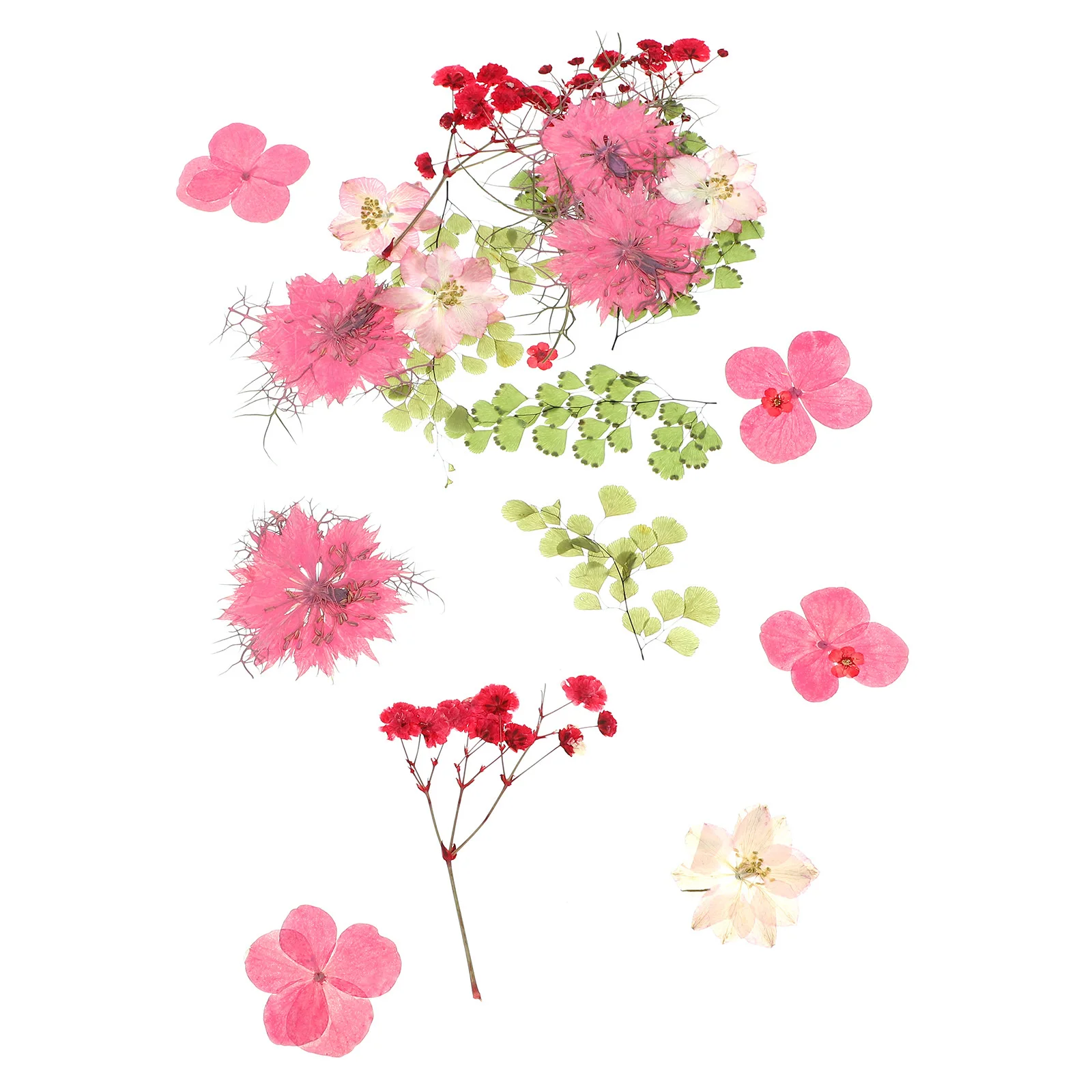 30 個ピンク押し花本物の自然色 DIY フラワークラフト材料結婚式の装飾ホームオフィスパーティー手作り花