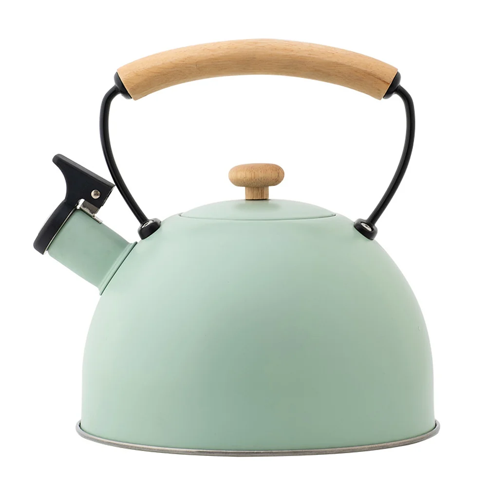 Electric Water Bottle Stovetop Tea Kettle Teakettle for Outside Penetration Stainless Steel