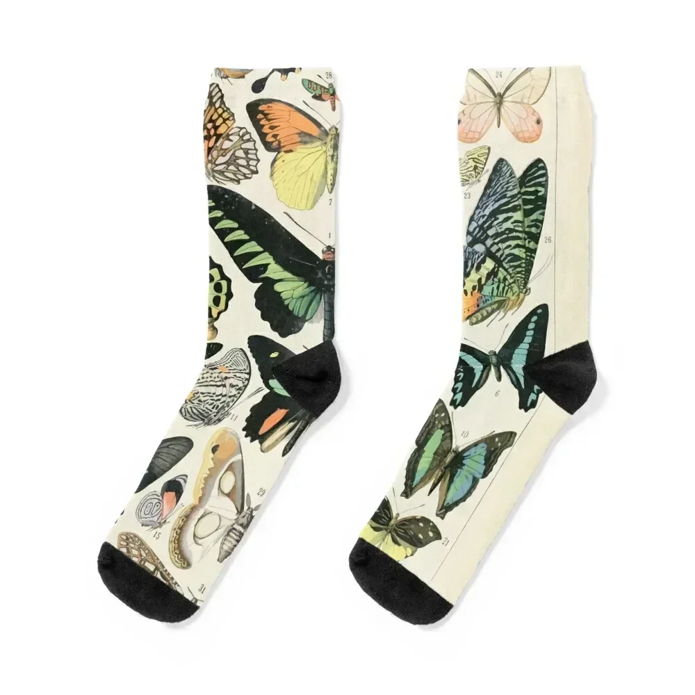 

Adolphe Millot papillons B Socks retro summer cute Stockings man Men's Socks Luxury Women's