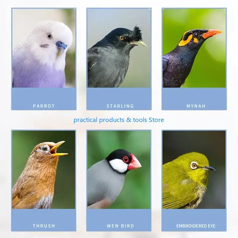 

77JB Bird Feeder for Budgerigar Canary Parrot Finches Parakeet Seed Container Plastic Easy to Install Durable