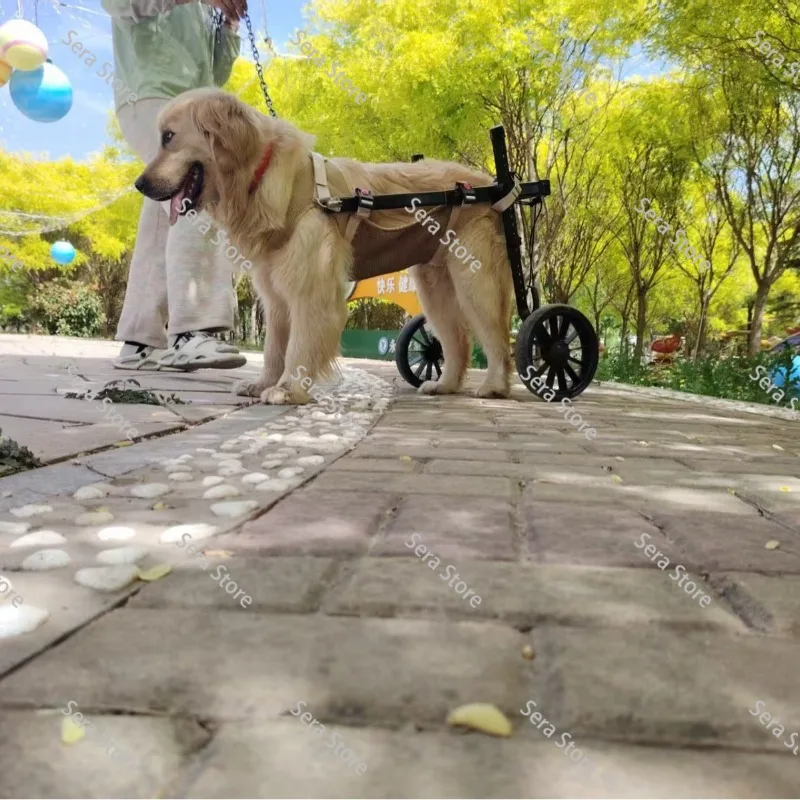 Rehabilitation Training Dog Wheelchair, Medium to Large Dogs, Hind Limb Assistance, Disability Mobility Aid, Pet Walker Trolley