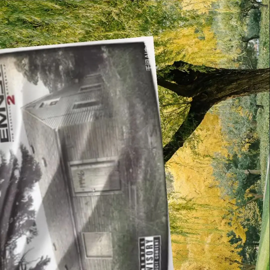 Настенный-гобелен-флаг-90x150-см-с-изображением-Эминема-slim-shady-посвященный-альбому-для-декора-инди-комнаты-украшение-для-дома-и-комнаты