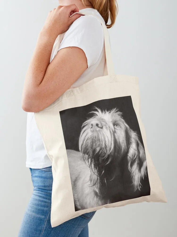 Stars above Spinone Tote Bag tote bag canvas great bag Canvas Tote