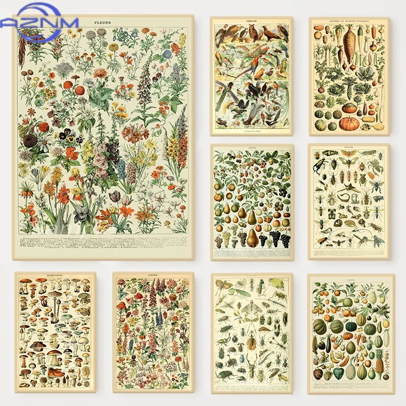 AZNM Vintage Animal Botanical Illustration Chart Poster Plants Flowers Birds Fruits Insects Canvas Painting Wall Art Room Home D