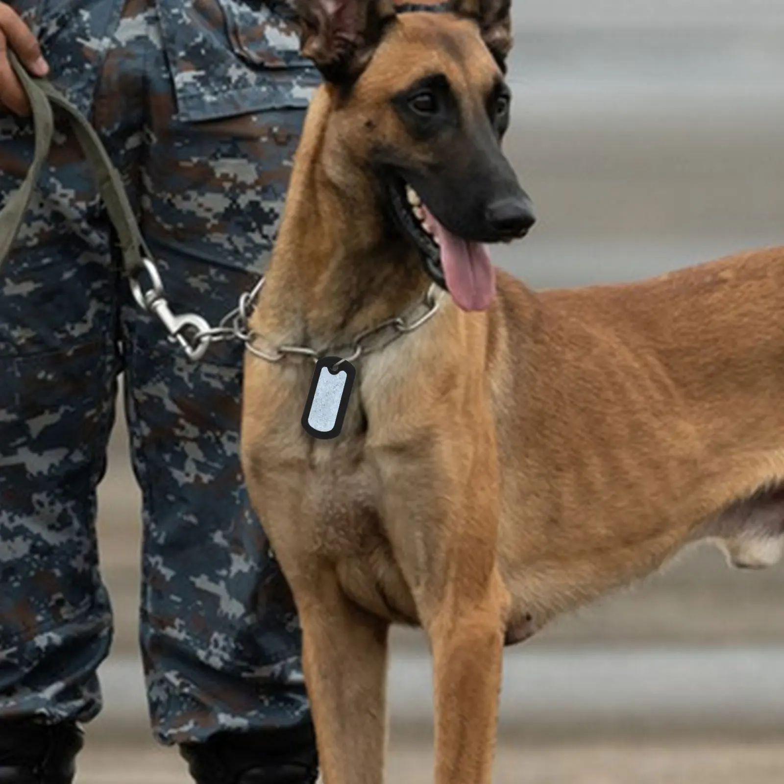 

12pcs Dog Tag Silicone Cover Protector Military Style Soundproof Protective Caps for Pet Tags Silent Durable Design