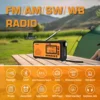 XHDATA D-608WB 비상 크랭크 날씨 라디오, FM/AM/SW/NOAA 경고 휴대용 라디오, 전화 충전기, 블루투스, 배터리 작동 3