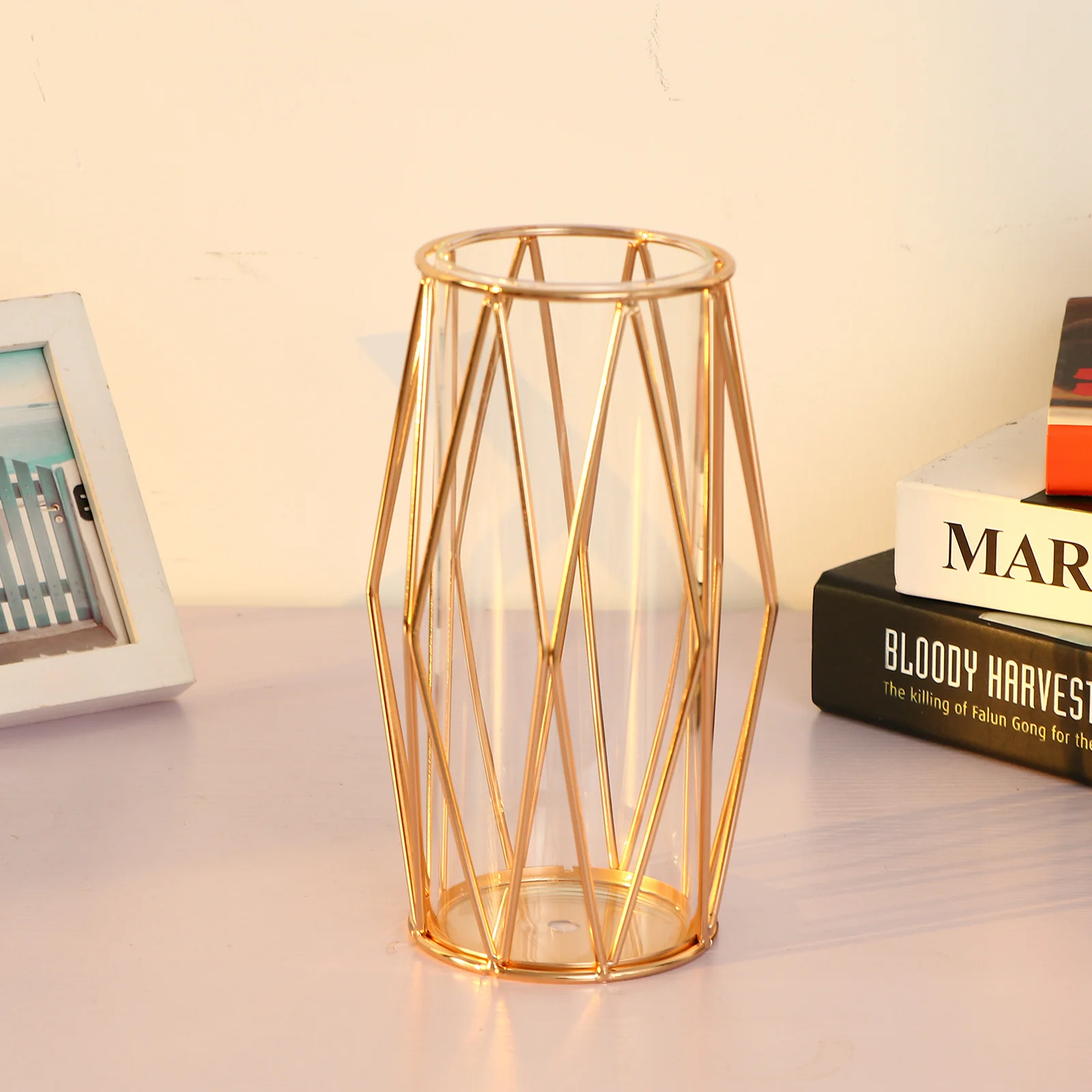 

1Pcs Iron Vase Hydroponic Container Water Planter Transparent Flower Pot Geometric Decoration for Home Office