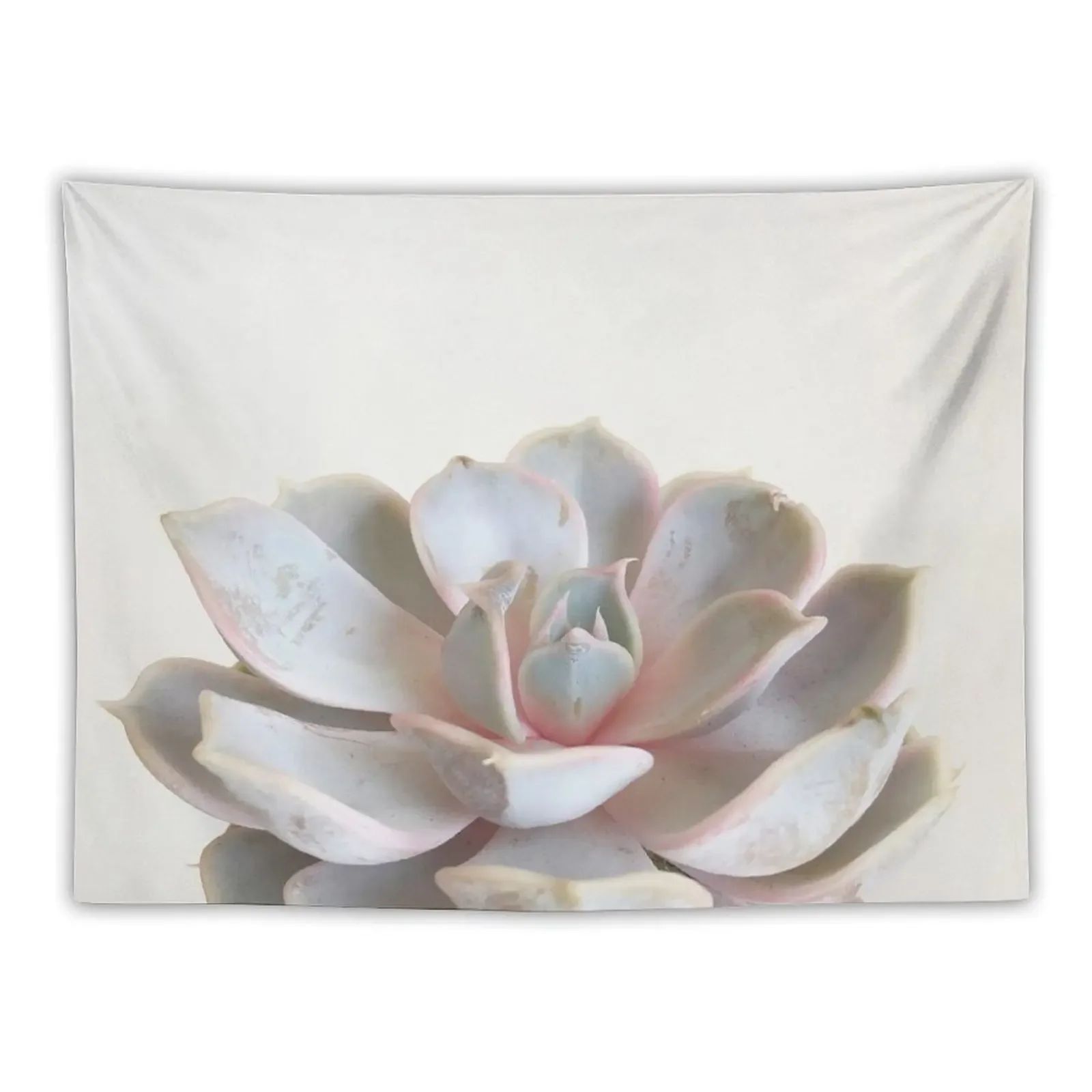 

Pink Succulent Tapestry Room Decorations Aesthetics Room Aesthetic Decor Wall Decor Hanging Room Ornaments Tapestry