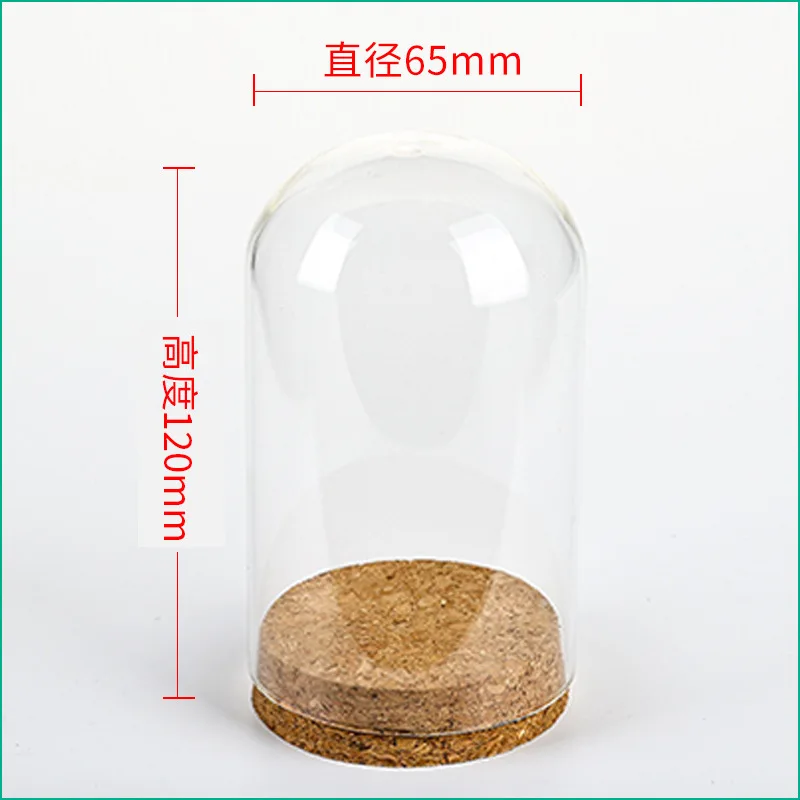 36pcs Empty Clear Glass Cloche Bell Jar Display Case With Round Cork Base For Wedding DIY D65XH120mm