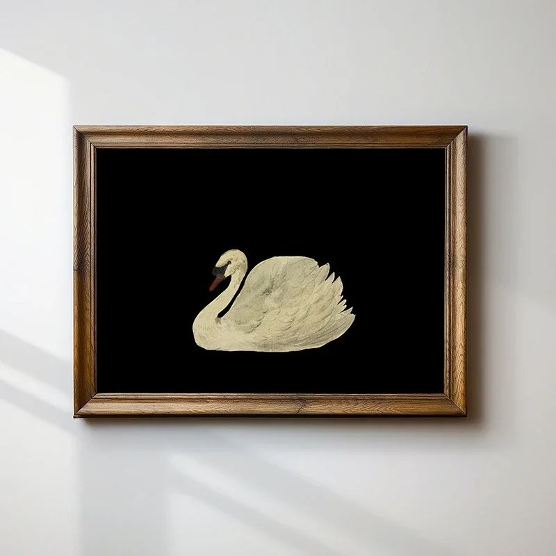 محايد العتيقة سوان المائية الحد الأدنى خمر الطيور المشارك يطبع حائط لوح رسم الفن صور للمزرعة المنزل دي