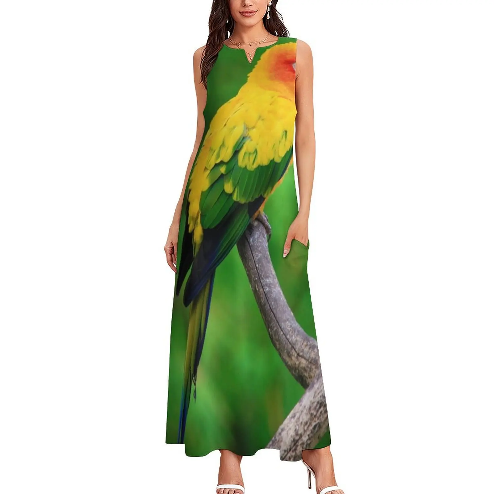 Sun Conure Parrot Photo Long Dress summer women's suit Party dresses dresses women summer 2025 Female clothing Dress