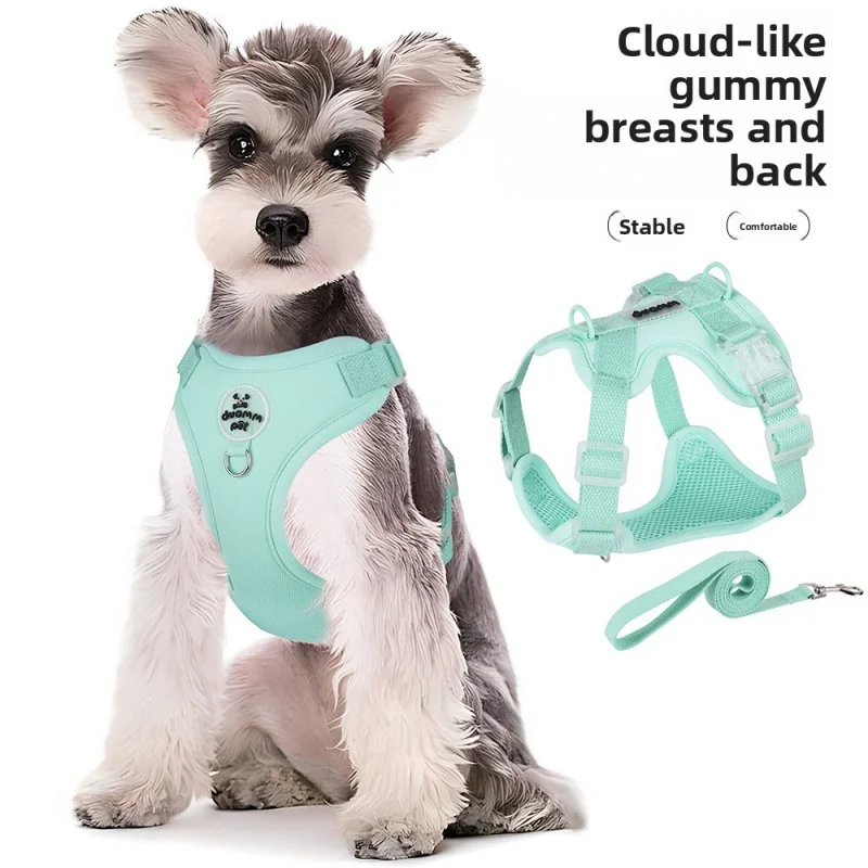 

Dopamine Color Dog Harness - Lightweight & Comfortable Vest for Small Dogs (Bichon, Poodle), Matching Leash Set, Mint Green
