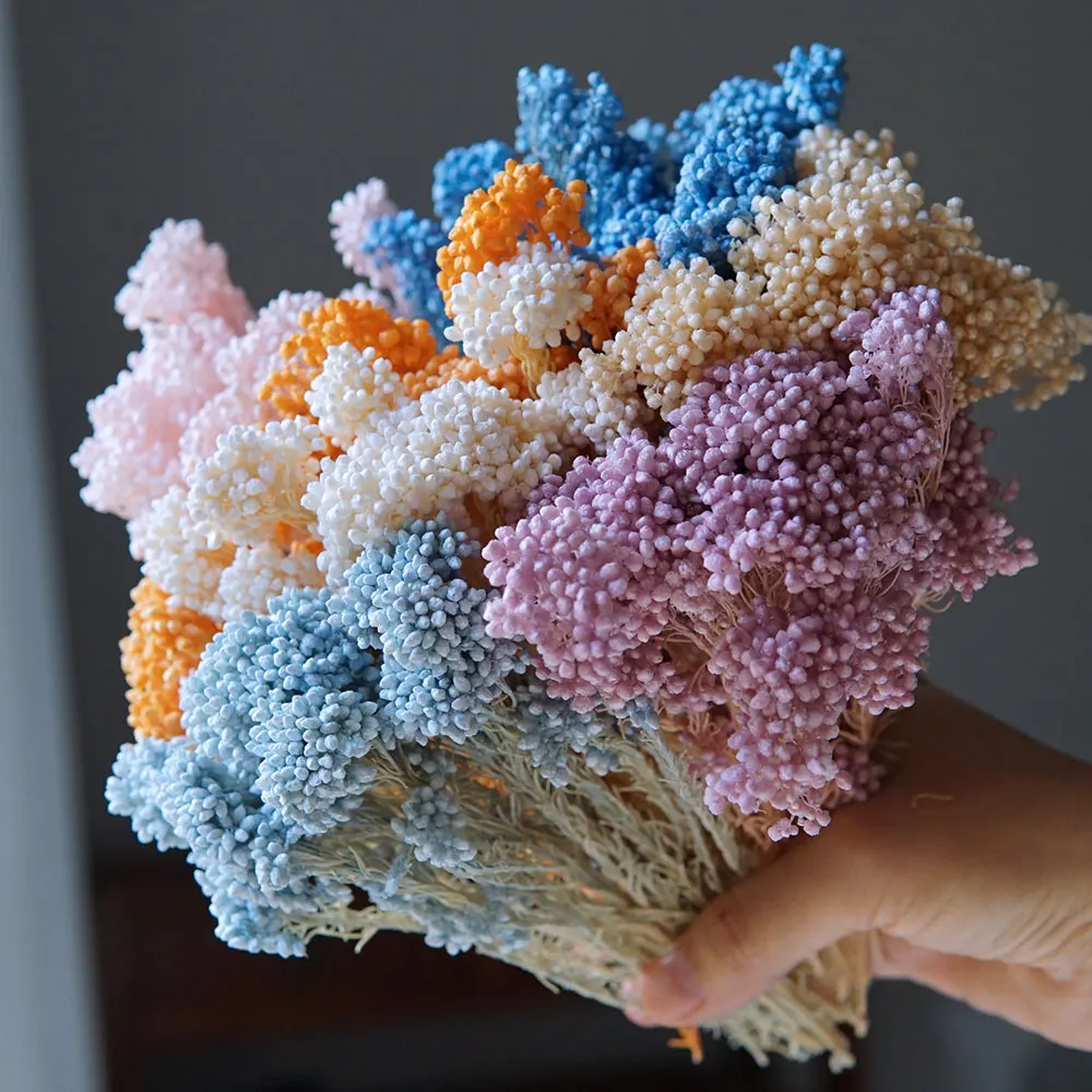 10g/flor de arroz preservada DIY Material de decoración del hogar pegamento epoxi fabricación de velas hechas a mano blanqueamiento teñido flores de cristal