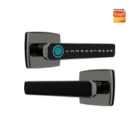 Tuya Fingerprint Handle Security Electronic Smart Door Lock Right Or Left Door Fit Password Lock Single Tongue