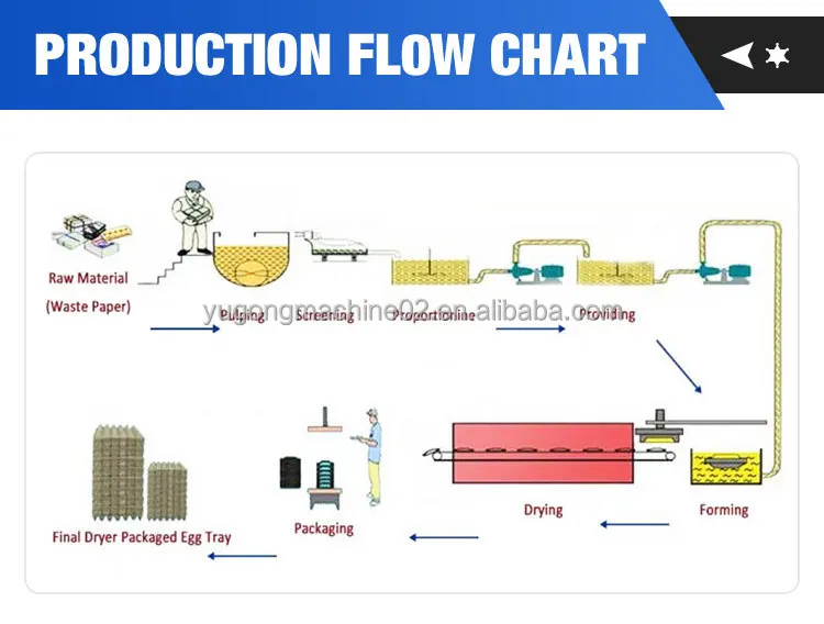 Automatic Egg Tray Production Line Paper Pulp Tray Machine Carton Maker For Mass Egg Packing In Farm And Factory Use