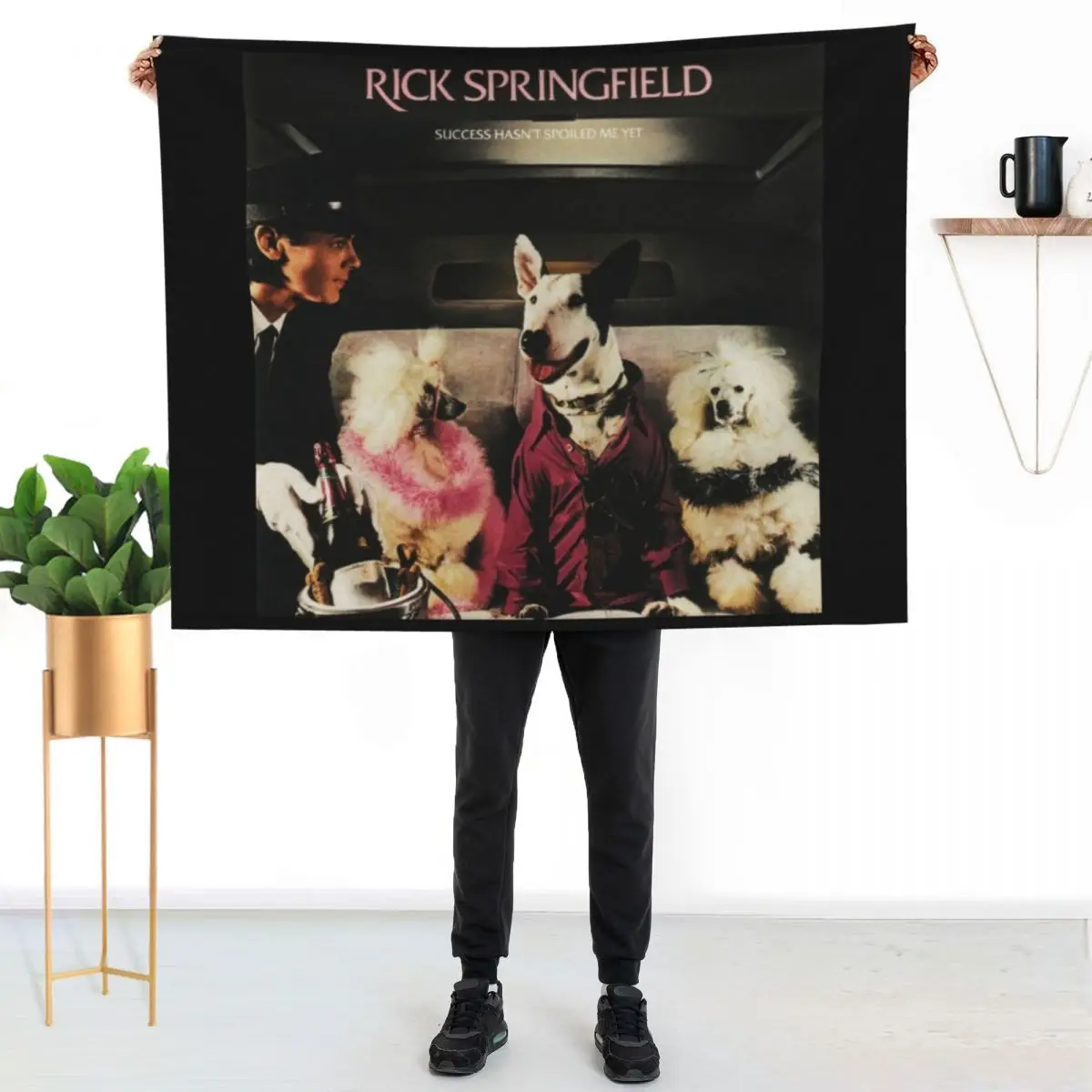 Success hasnt spoiled me yet Throw Blanket Multi Use Warm Blanket for Living Room Bedroom
