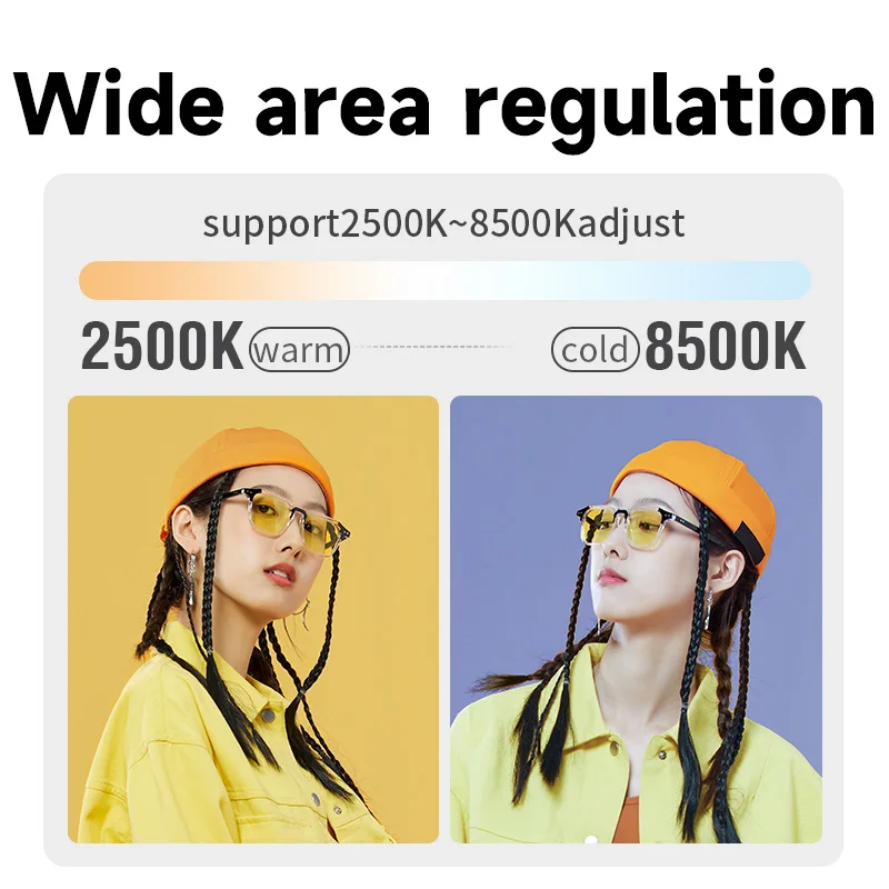 새로운 핸드 헬드 링 LED 충전식 채우기 라이트 휴대용 휴대 전화 라이브 방송 사진 데스크탑 토끼 케이지 Selfie 라이트