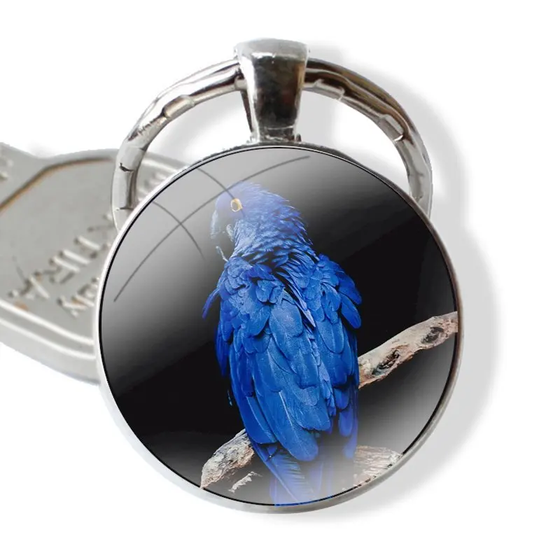 25mm Glass Cabohcon Keychain Key Rings for Women Men Jewelry Gift Funny Parrot Blue Color