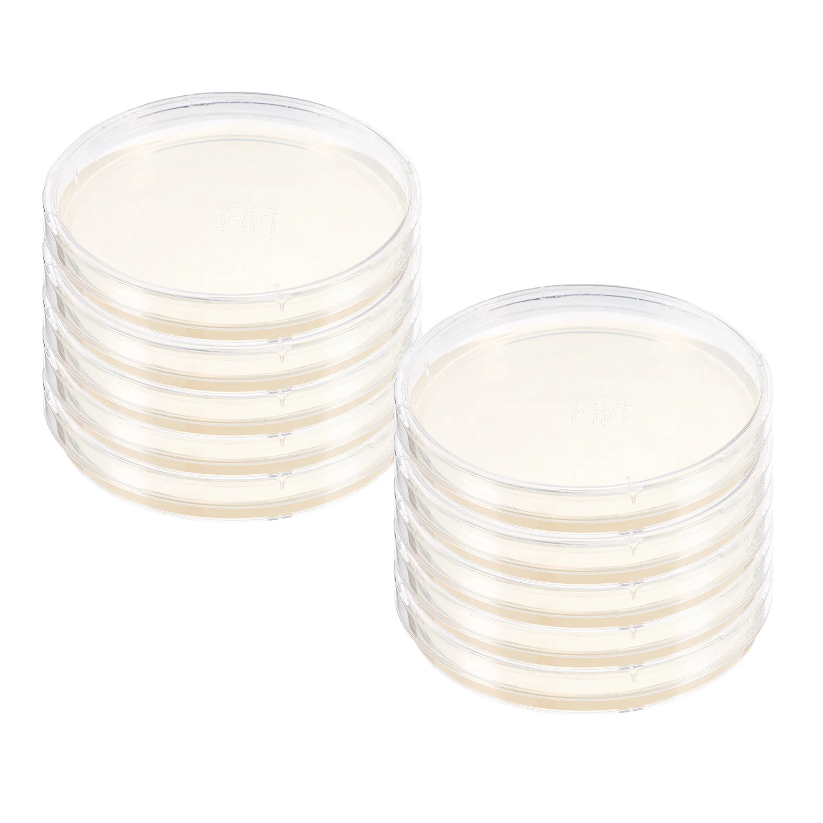 

10 Pcs Agar Plate Prepoured Petri Dish Plates Test Box Science Experiment Supplies Laboratory Dishes