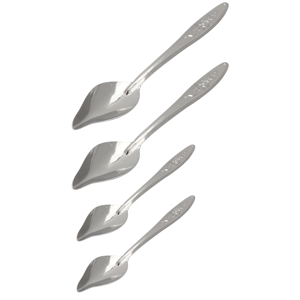 

4pcs Stainless Steel Parrot Feeding Spoons Durable No Rust Special Design for Small Parrots Pet Shop Home Use Great for Parrot