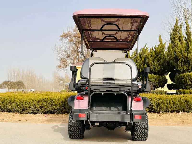 مصنع توريد 72 فولت 2 4 6 8 الركاب عالية السرعة مخصصة عربة جولف كهربائية للبيع #6