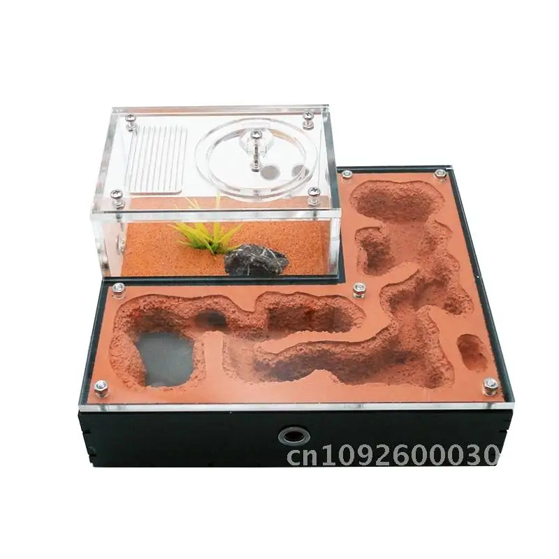 

Ant Farm mini CC with External Water Insect Moisturise Ant Nest Breeding Pet Ant Anthill Ant Queen Area Box Tower Castle House